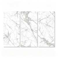 Carreaux de céramique à finition pierre haute blancheur pour murs et sols intérieurs, carreaux de porcelaine pour la décoration de projets résidentiels et hôteliers, carreaux de céramique personnalisés OEM