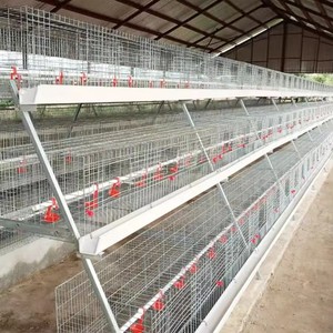 Cage à poules automatique de <span class=keywords><strong>type</strong></span> <span class=keywords><strong>A</strong></span> en acier galvanisé à chaud durable pour l'élevage avicole - Product Image 4
