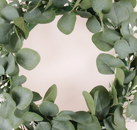 Personnalisation d'usine porte mur fête décoration mariage fleur plante guirlande feuilles d'eucalyptus guirlande