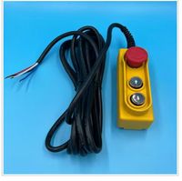 Mini-treuil électrique 220V à chaîne et câble, avec interrupteur de fin de course mont/déscend et arrêt d'urgence, capacité de levage 0,5 tonne, qualité export
