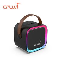 Amplificateur de karaoké portable Callvi W3 Mini, lecteur de musique, haut-parleur avec lumière LED clignotante
