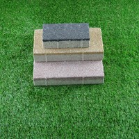 Pavage de briques d'argile autoclavées pavés de béton en céramique perméable à l'eau pour briques de fonction ignifuges de trottoir de parc