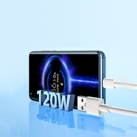 Charge rapide 120w/90w Eu GaN adaptateur secteur USB à Charge rapide pour xiaomi 14 Redmi K80 Mi Turbo chargeur