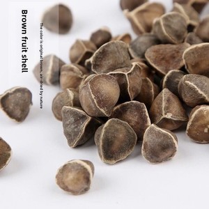 <span class=keywords><strong>Graines</strong></span> <span class=keywords><strong>de</strong></span> <span class=keywords><strong>Moringa</strong></span> Oleifera Biologiques Sèches <span class=keywords><strong>de</strong></span> Haute Qualité, 100% Naturelles, Riche en Huile, Disponibles en Vrac et en Gros - Product Image 2