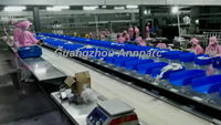 Machine de tri et de pesage de volailles motorisée Annparc en acier inoxydable, haute productivité, 8000 pièces/h, 380V/50HZ, pour ligne d'abattage