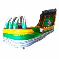 Tobogán Acuático Inflable Dino Dive de 20 pies, Doble Carril, Uso Comercial, Material de PVC