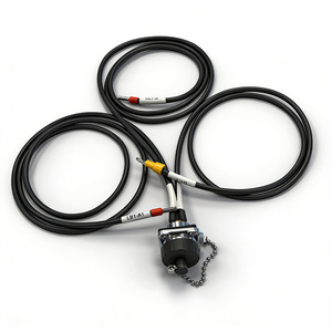 XT-2 Industriële temperatuursensorsonde-kabelassemblage Motorbedrading voor auto's en industriële apparatuur - Product Image 3