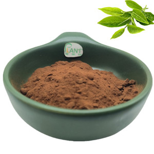 Pasokan ekstrak teh hijau alami <span class=keywords><strong>50</strong></span>% Egcg massal ekstrak daun teh hijau Epigallocatechin Gallate EGCG bubuk halus - Product Image 2