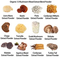 Produit de santé Cordyceps Sinensis Extrait 30% polysaccharide