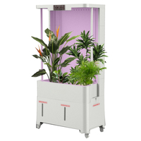 Système de jardinage vertical innovant à petit volume mais grande capacité, hydroponie intérieure pour la culture de fraises et plus encore à la maison