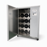 Ananaschips droogmachine warmtepomp fruitdehydrator kleurbehoudend