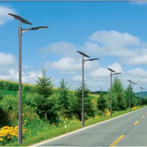 Split/All in one solar street light factory supply 15w 35w 50w 60w 100w integrated solar lamp post