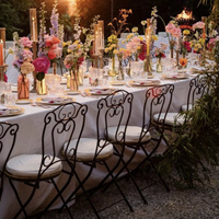 Chaise de banquet de mariage d'événement d'hôtel en métal de meubles commerciaux direct d'usine bon marché