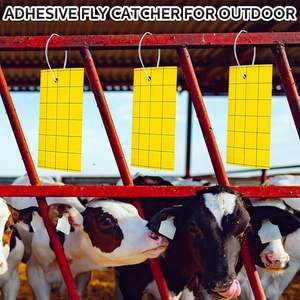 חומר נייר יעיל מאוד צהוב לעוף הדביק לוח דביק עבור הדברה מקורה - Product Image 6