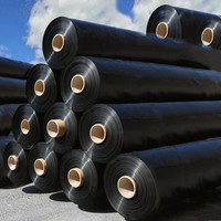Geomembrana de HDPE Anticorrosiva Impermeable de 1 mm, Geomembrana de HDPE Lisa, Geosintética, Geomembrana de HDPE Lisa