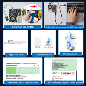 <strong>Recordable</strong> and Downloadable Voice <strong>Module</strong> with Push Button Control and Rechargeable Lithium Battery for DIY <strong>Sound</strong> Product - Product Image 2