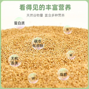 Alimento Premium de Mijo Amarillo para Aves 1200ml Nutritivo para Loros y Periquitos - Product Image 4