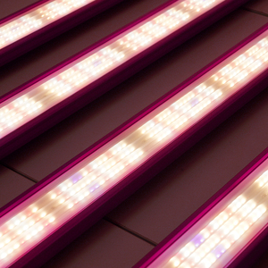 Strip lampu tumbuh <span class=keywords><strong>LED</strong></span> multizona 1400W, dapat diprogram dengan kontrol lensa independen untuk berbagai kebutuhan Crop - Product Image 5