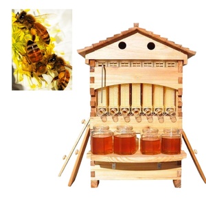 Hot <b>Sale</b> Automatic <b>Beehive</b> Wooden <b>Beehive</b> Box Pine Wood Plastic Frame <b>for</b> Beekeeping Farm Use Competitive Price - Product Image 4