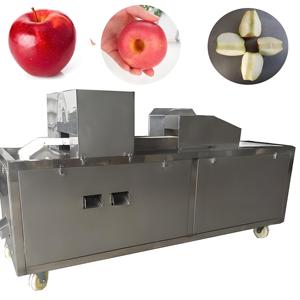 Gran volumen de ventas Apple Slicer Core Removal Tool Commercial Apple Corer Apple Pitting Machine - Product Image 2
