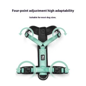 Groothandel Nieuwe Polyester Tweedelige Hond Trekkoord Klein Middelgroot Huisdier Borstharnas Set Hondenuitlaatuitrusting Voorraad - Product Image 3