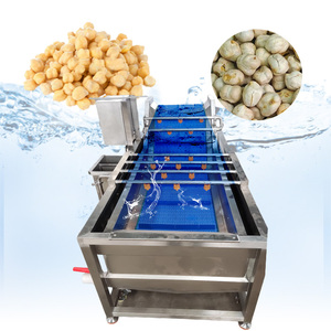 Machine à laver les légumes à bulles à vendre - Product Image 6