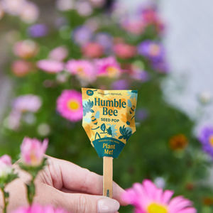 Offre Spéciale ludique Bumble Bee Grow Pops Sélection de fleurs sauvages vivaces pour la culture de pollinisateurs de jardin - Product Image 3