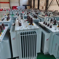 Transformador de Distribución Trifásico de 10kV 380V, Sumergido en Aceite, Bobinado Doble, Baja Elevación de Temperatura, Alto Aislamiento y Ahorro Energético