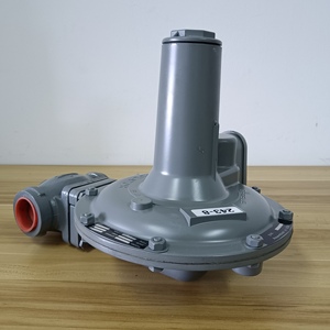 Reductor de Gas 243-8 DC1702-110011000 para SENSUS en Stock - Product Image 4