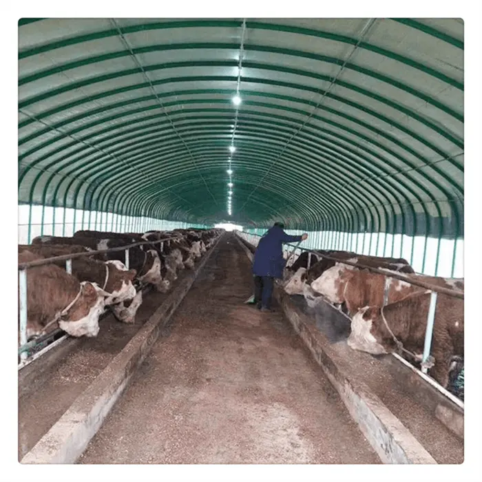 Nouveau modèle Bâtiment économique léger Structure métallique Hangar pour moutons Ferme de bovins laitiers Construction d'abris pour vaches