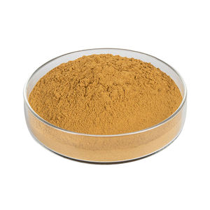 カスタマイズ可能なバルク供給 天然イチョウ葉粉末 24%フラボノイド抽出物 オーガニックハーブサプリメント 脳の健康のため - Product Image 3