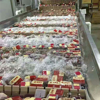 Machine de pasteurisation continue, bouteille, tasse, Tunnel de bain d'eau, pasteuriseur pour lait, yaourt, jus de fruits