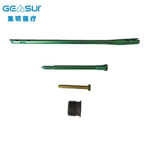 Implan Ortopedi Geasure untuk Trauma, Paku Intramedullary Multifungsi Antegrade <span class=keywords><strong>Femoral</strong></span> Retrograde Titanium Kelas III 1 Tahun - Product Image 6