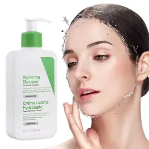 OEM Ceramide harian kulit berminyak Niacinamide asam Hyaluronic Pembersih Wajah berbusa Cuci wajah