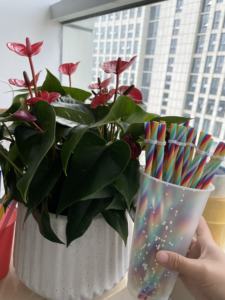 16oz 24oz reutilizable, taza de café de plastico sin tapa color tazas con <span class=keywords><strong>tapas</strong></span> y pajitas - Product Image 6