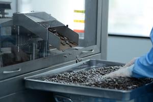 Ganoherb Orgânica <span class=keywords><strong>Ganoderma</strong></span> Lucidum <span class=keywords><strong>Spore</strong></span> Power Extract LMushroom Cápsulas Seguras para Mulheres Grávidas Quebrado Reishi <span class=keywords><strong>Spore</strong></span> Em Pó - Product Image 6