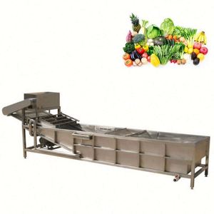 Fruit/ Line With Leaf Cabbage Lettuce Cleaner Washer Bubble Fruit And Vegetable Washing Machine