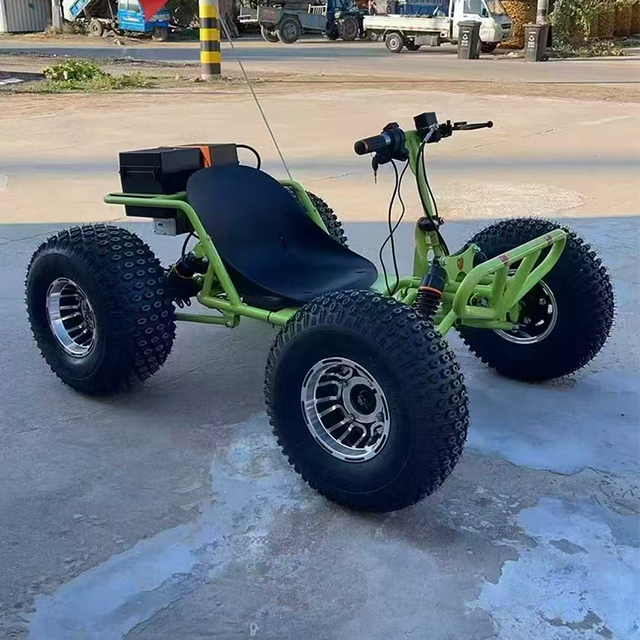 Zero-Emission Eco-Friendly Electric Racing Go-Kart 48V 1800W 25Ah Differential Drive High-Powered Children and Adults Drift Kart