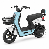Vélo électrique brésilien EBIKE 48V 20Ah 500W à moteur sans balais, mini vélo électrique avec freins à disque hydrauliques, vente chaude
