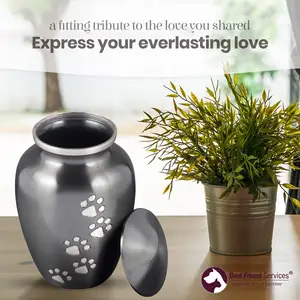 Petdom Pet Cremation Urns And Metal Memorial Cat Dog Pet Urns For Ashes