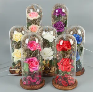 florero 100 rosas Suppliers-Luz led soplada a mano, frascos de cristal con base de madera, rosas, flores, campana, venta al por mayor