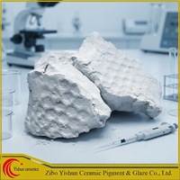 Kaolin lavé en gros de Zibo, argile de Chine de qualité céramique, origine Shandong