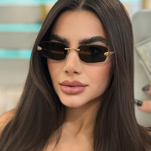 European American Fashion Ins Women's Sunglasses Frameless Cut Edge Small <b>Frame</b> Metal Polygonal Cheetah UV400 Optics Lenses - Product Image 2