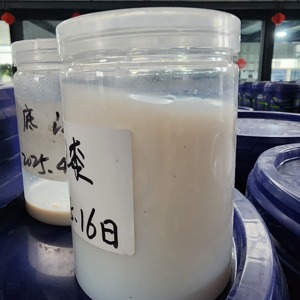 Silicone-Acrylic tường bảo vệ lớp phủ rõ ràng áo bên ngoài sơn cho nề bề mặt chất lỏng nguyên liệu chính - Product Image 3