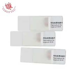 Биологические слайды с паразитами, слайды Plasmodium <span class=keywords><strong>Vivax</strong></span> Falciparum, Обучающие исследования, стеклянные слайды, подготовленные для лаборатории - Product Image 5