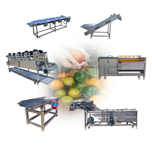 Machine de lavage et de nettoyage automatique électrique à pulvérisation pour carottes, manioc, pommes, maïs, tomates, agrumes et fruits rouges - Product Image 3