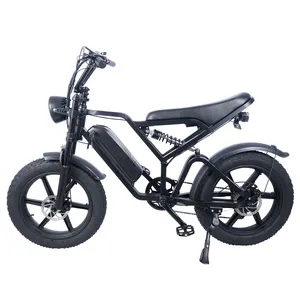 China Factory E-Bike Mountainbike 750w Voll federung 20 Zoll Fat Tire Ebike Retro Dirt Fatbike Scheiben bremse in EU/US