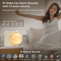 Lampe lunaire, réveil lumineux en plastique, 8 couleurs LED, lumière de réveil, double alarme, fonction snooze, 10 sons naturels [Énergie