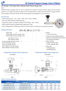 ईगल समायोज्य दिशा दबाव गेज वाल्व 315 बार r g m थ्रेड सीधे कोण स्टेनलेस स्टील उपकरण - Product Image 2