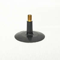 Valve de chambre à air intérieure Toolon de haute qualité, nouvelle, TR13, avec caoutchouc naturel pour voitures particulières et camions légers, forte adhérence